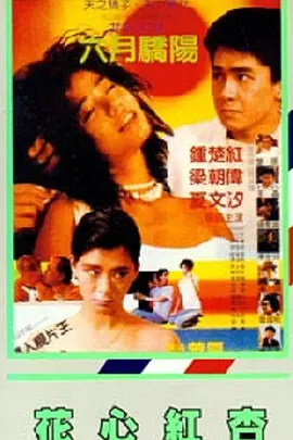 我的秘书小姐